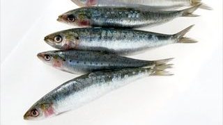 Rulouri de sardine marinate