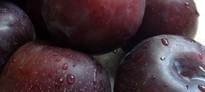 Fructe nutritive: Prunele