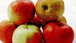 Prajitura cu mere rase