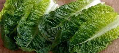 Salata verde ardeleneasca